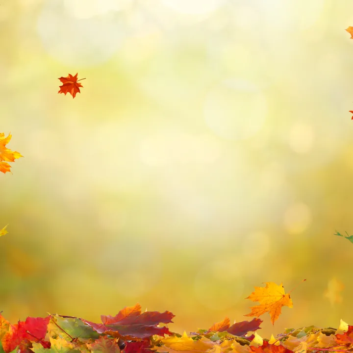 Automne