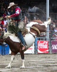 Festival Western de St-Tite