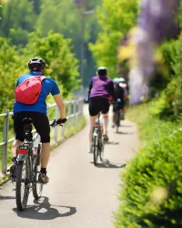 circuits de vélo