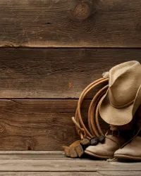 Danse country