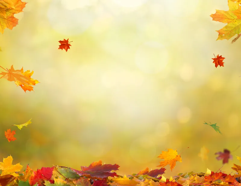 Automne